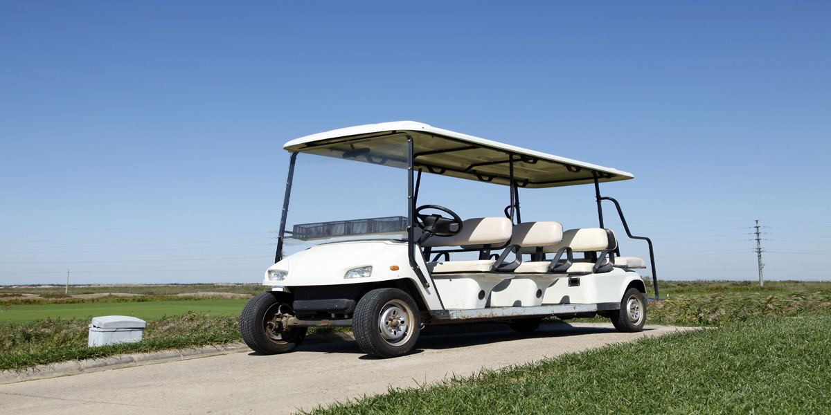 Buggy Rental